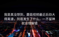 我是真没想到，蘑菇视频最近后劲大得离谱，到底发生了什么，一不留神就会理解错