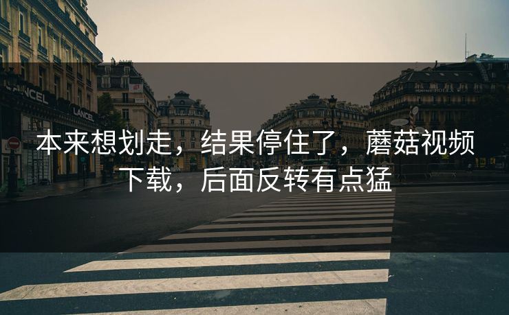 本来想划走,结果停住了,蘑菇视频下载,后面反转有点猛 第1张 本来想划走,结果停住了,蘑菇视频下载,后面反转有点猛 第1张