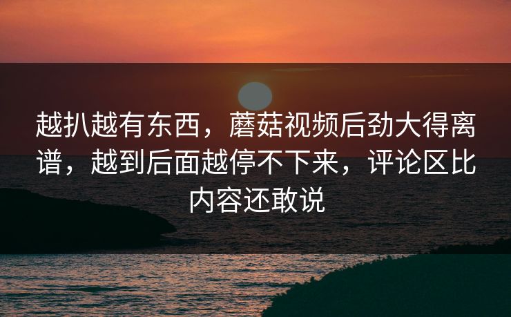 越扒越有东西，蘑菇视频后劲大得离谱，越到后面越停不下来，评论区比内容还敢说  第1张