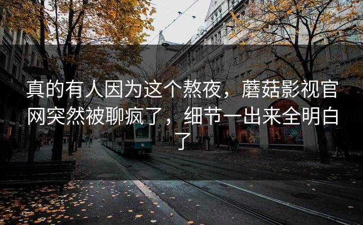 真的有人因为这个熬夜,蘑菇影视官网突然被聊疯了,细节一出来全明白了 第1张 真的有人因为这个熬夜,蘑菇影视官网突然被聊疯了,细节一出来全明白了 第1张