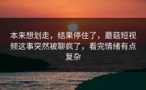 本来想划走，结果停住了，蘑菇短视频这事突然被聊疯了，看完情绪有点复杂