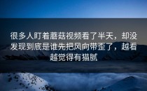 很多人盯着蘑菇视频看了半天，却没发现到底是谁先把风向带歪了，越看越觉得有猫腻