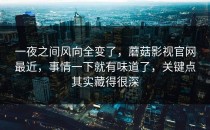一夜之间风向全变了，蘑菇影视官网最近，事情一下就有味道了，关键点其实藏得很深
