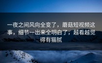 一夜之间风向全变了，蘑菇短视频这事，细节一出来全明白了，越看越觉得有猫腻