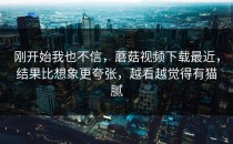 刚开始我也不信，蘑菇视频下载最近，结果比想象更夸张，越看越觉得有猫腻