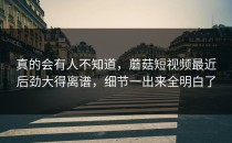 真的会有人不知道，蘑菇短视频最近后劲大得离谱，细节一出来全明白了