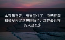 本来想划走，结果停住了，蘑菇视频相关搜索突然被聊疯了，难怪最近搜的人这么多