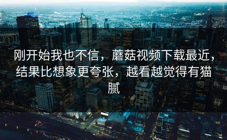 刚开始我也不信，蘑菇视频下载最近，结果比想象更夸张，越看越觉得有猫腻  第1张