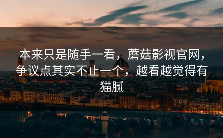 本来只是随手一看，蘑菇影视官网，争议点其实不止一个，越看越觉得有猫腻  第1张