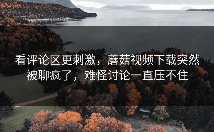 看评论区更刺激,蘑菇视频下载突然被聊疯了,难怪讨论一直压不住 第1张 看评论区更刺激,蘑菇视频下载突然被聊疯了,难怪讨论一直压不住 第1张
