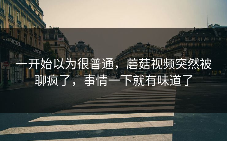 一开始以为很普通，蘑菇视频突然被聊疯了，事情一下就有味道了  第1张