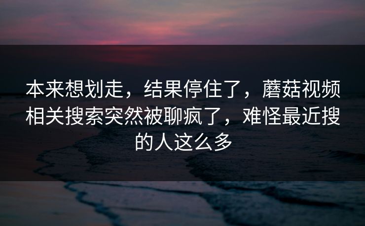 本来想划走，结果停住了，蘑菇视频相关搜索突然被聊疯了，难怪最近搜的人这么多  第1张