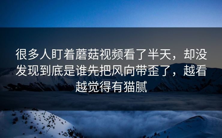很多人盯着蘑菇视频看了半天，却没发现到底是谁先把风向带歪了，越看越觉得有猫腻