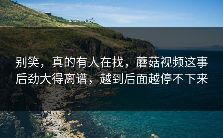 别笑,真的有人在找,蘑菇视频这事后劲大得离谱,越到后面越停不下来 第1张 别笑,真的有人在找,蘑菇视频这事后劲大得离谱,越到后面越停不下来 第1张